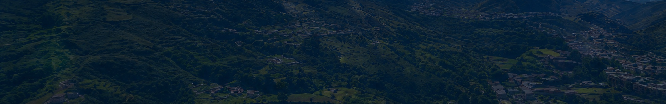 Fondo